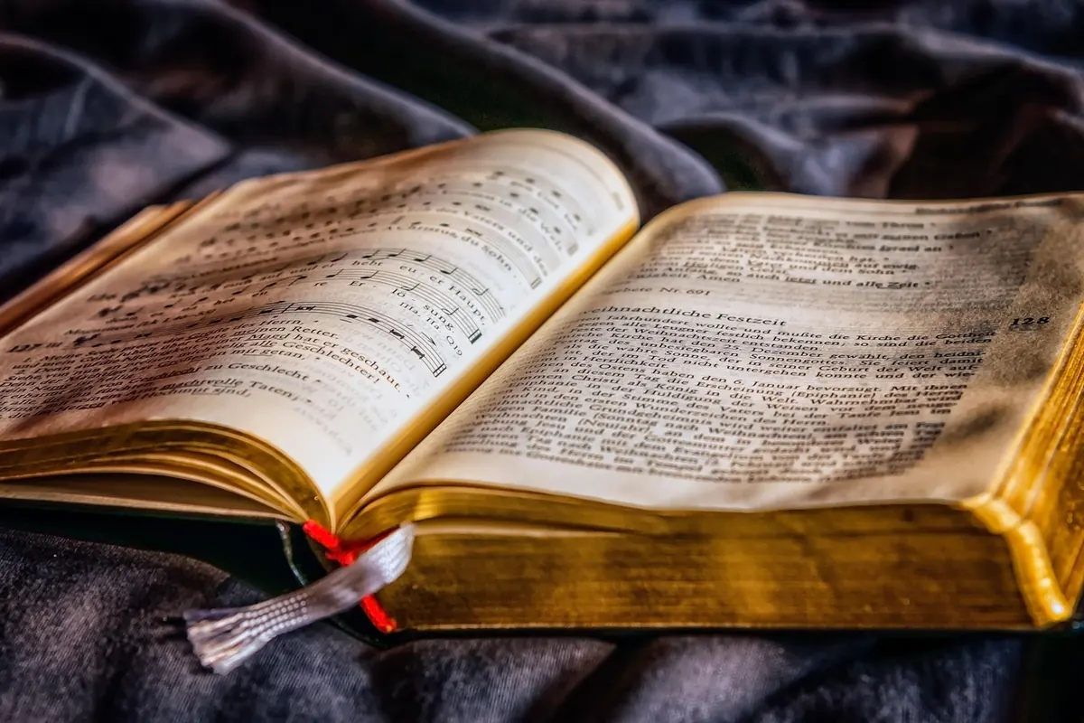 How to Spot a Spoiler-Free Book Review: An Explainer for Readers
